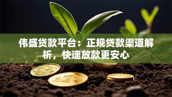 伟盛贷款平台：正规贷款渠道解析，快速放款更安心