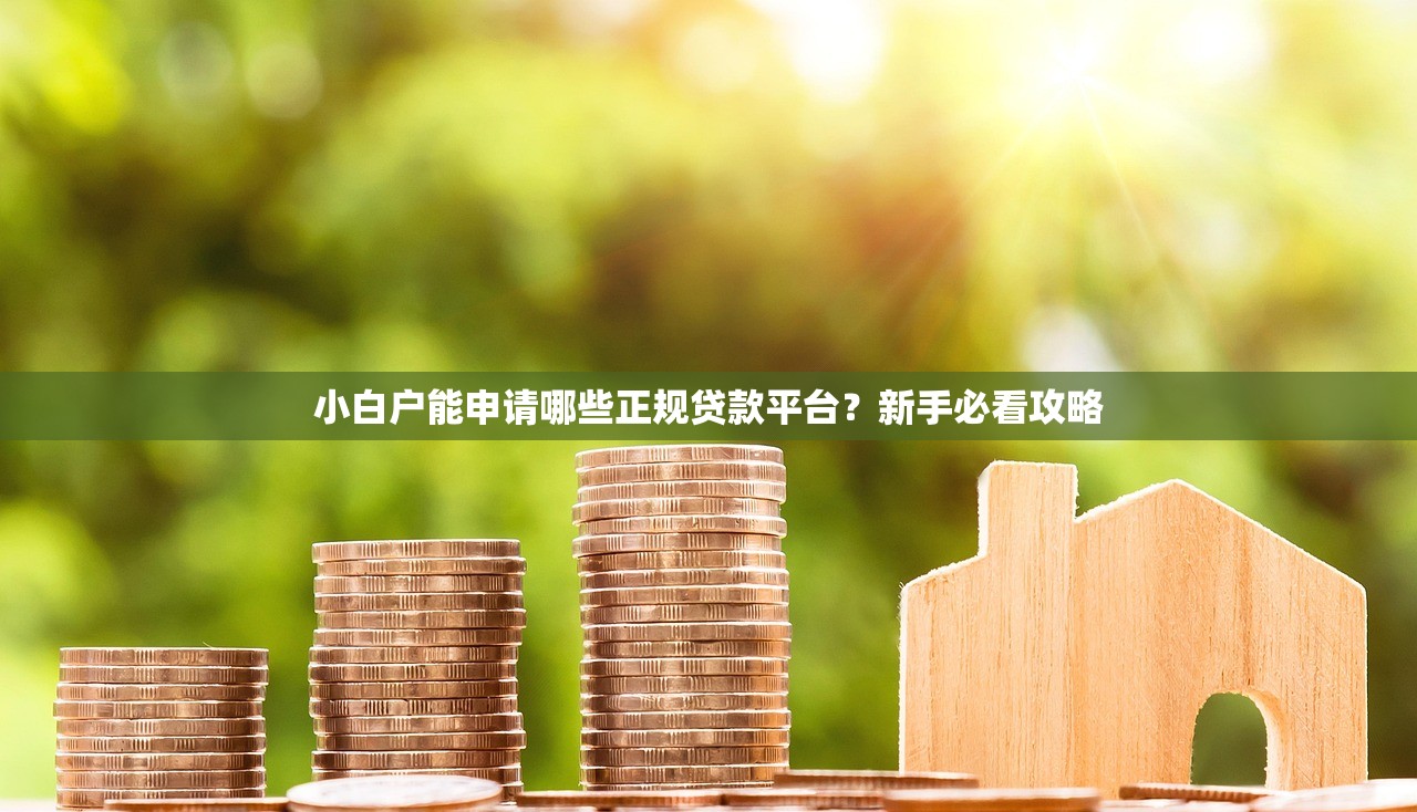 小白户能申请哪些正规贷款平台?新手必看攻略 小白户能申请哪些正规贷款平台?新手必看攻略