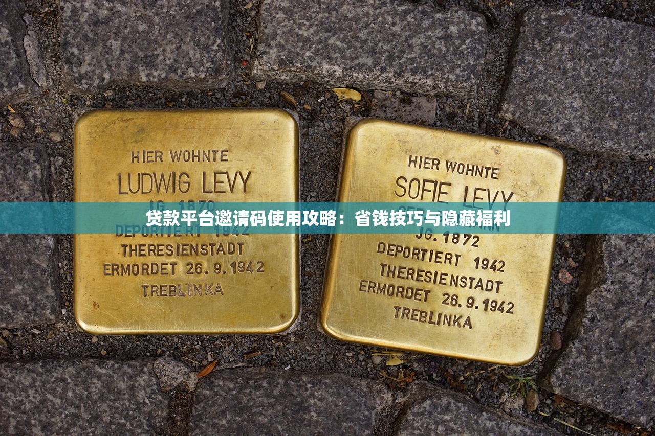 贷款平台邀请码使用攻略:省钱技巧与隐藏福利 贷款平台邀请码使用攻略:省钱技巧与隐藏福利