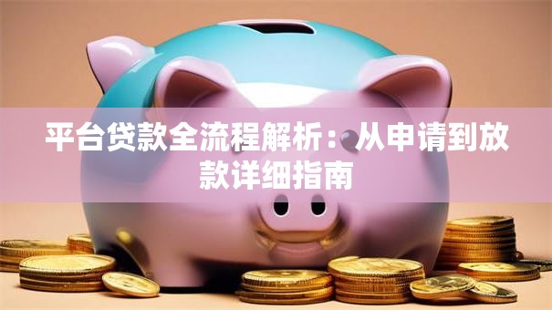 平台贷款全流程解析：从申请到放款详细指南