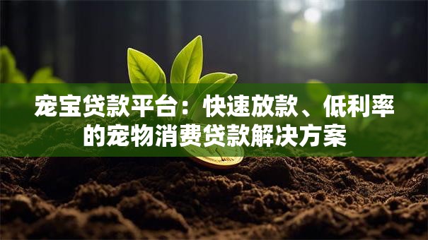 宠宝贷款平台：快速放款、低利率的宠物消费贷款解决方案
