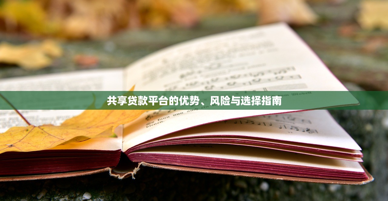 共享贷款平台的优势、风险与选择指南