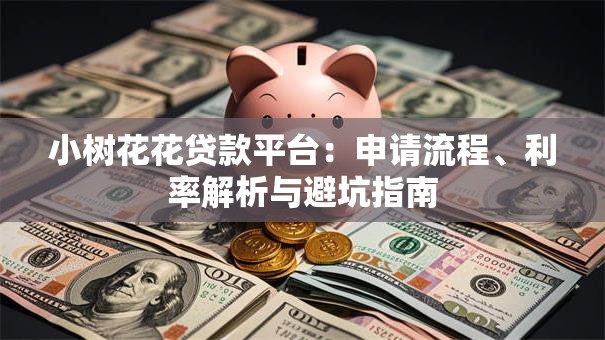 小树花花贷款平台：申请流程、利率解析与避坑指南