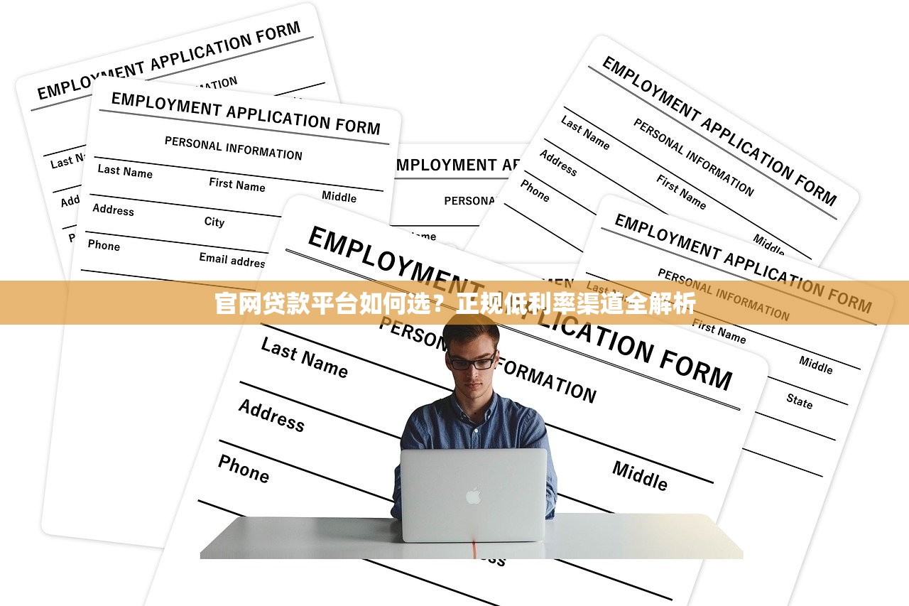 官网贷款平台如何选？正规低利率渠道全解析