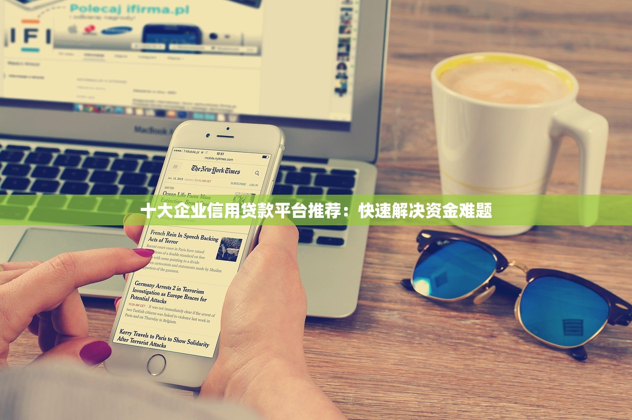十大企业信用贷款平台推荐：快速解决资金难题