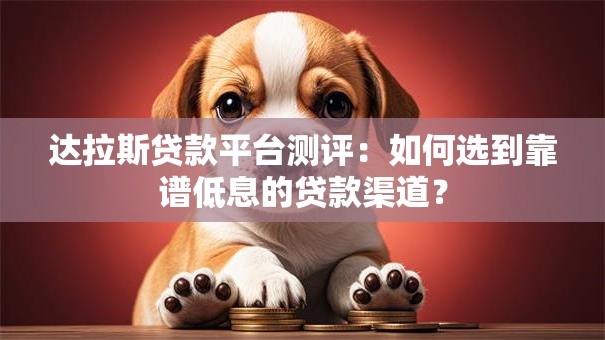达拉斯贷款平台测评：如何选到靠谱低息的贷款渠道？