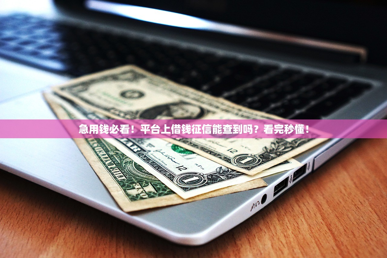 急用钱必看！平台上借钱征信能查到吗？看完秒懂！