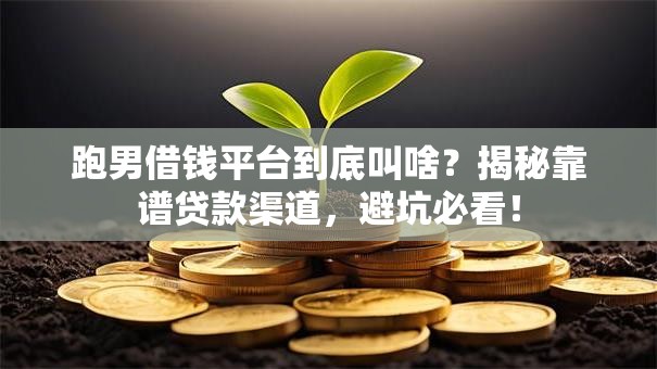 跑男借钱平台到底叫啥？揭秘靠谱贷款渠道，避坑必看！