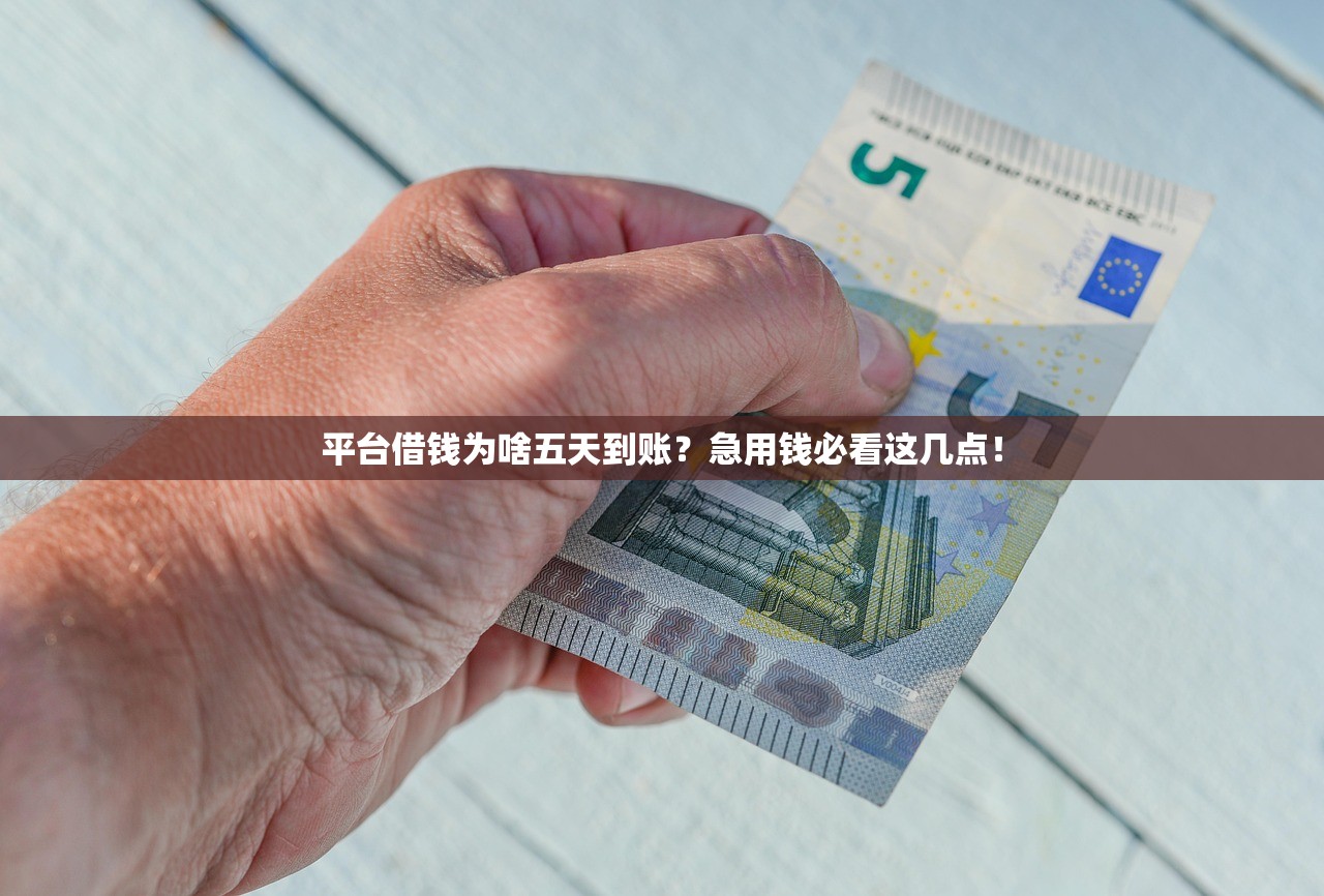 平台借钱为啥五天到账？急用钱必看这几点！