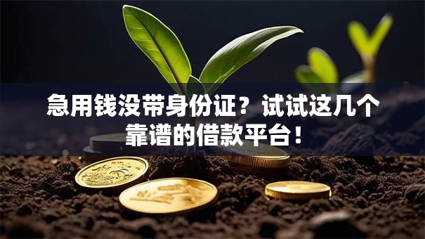 急用钱没带身份证？试试这几个靠谱的借款平台！