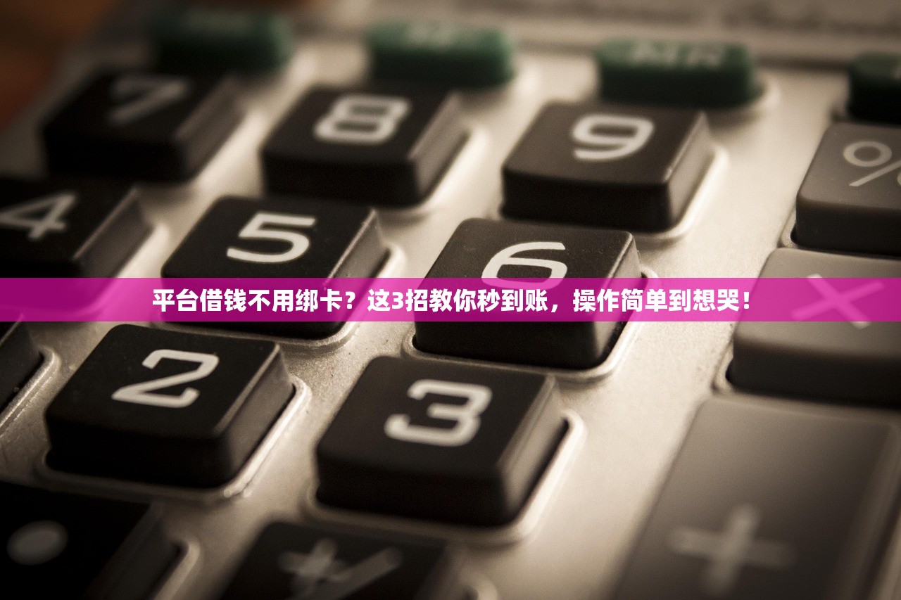 平台借钱不用绑卡？这3招教你秒到账，操作简单到想哭！