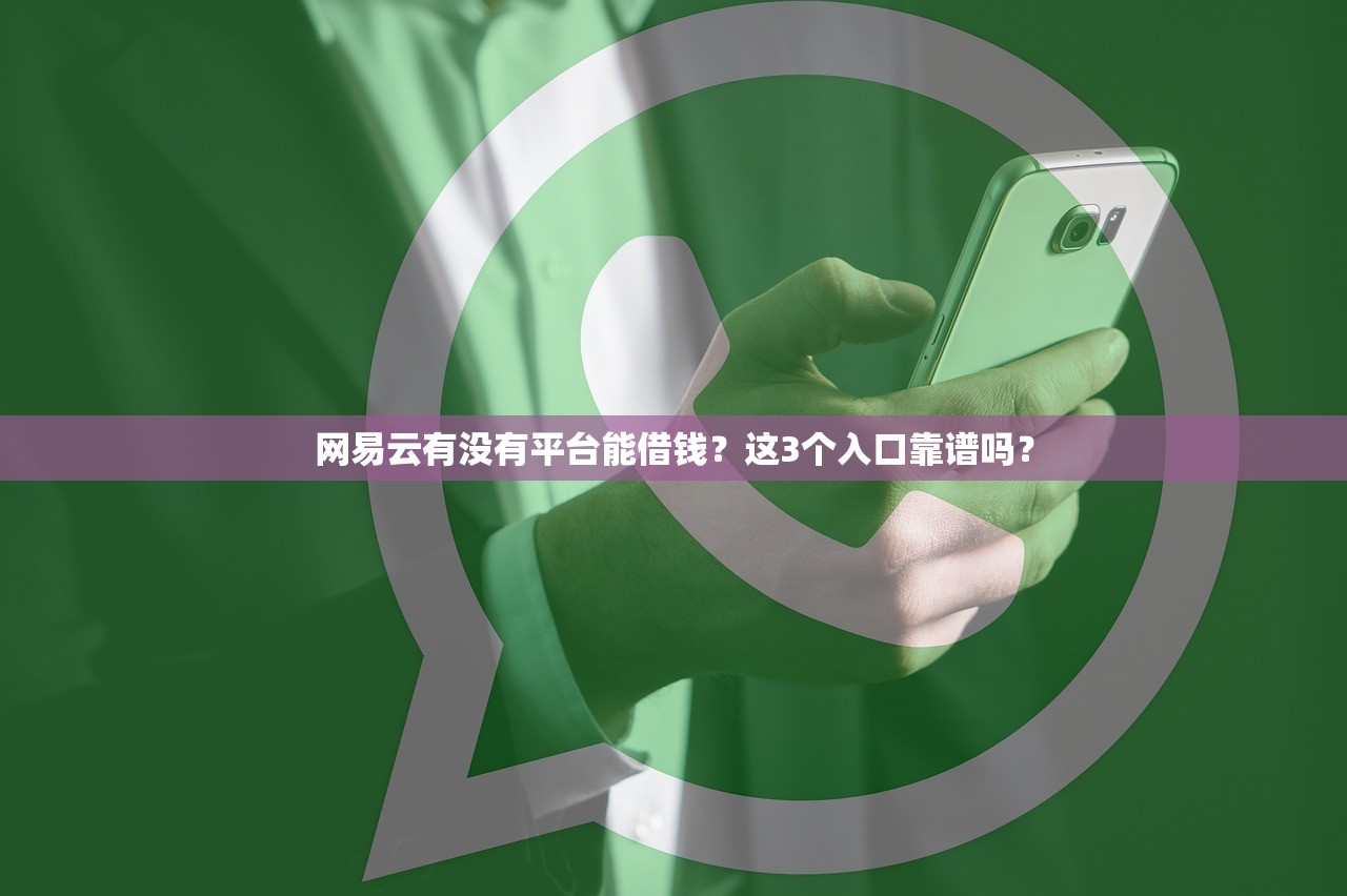 网易云有没有平台能借钱？这3个入口靠谱吗？