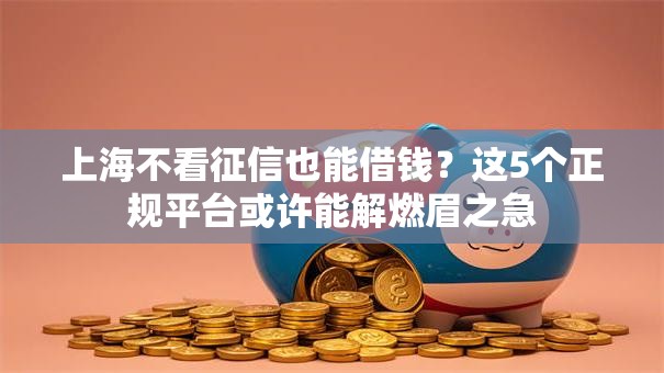上海不看征信也能借钱?这5个正规平台或许能解燃眉之急 上海不看征信也能借钱?这5个正规平台或许能解燃眉之急