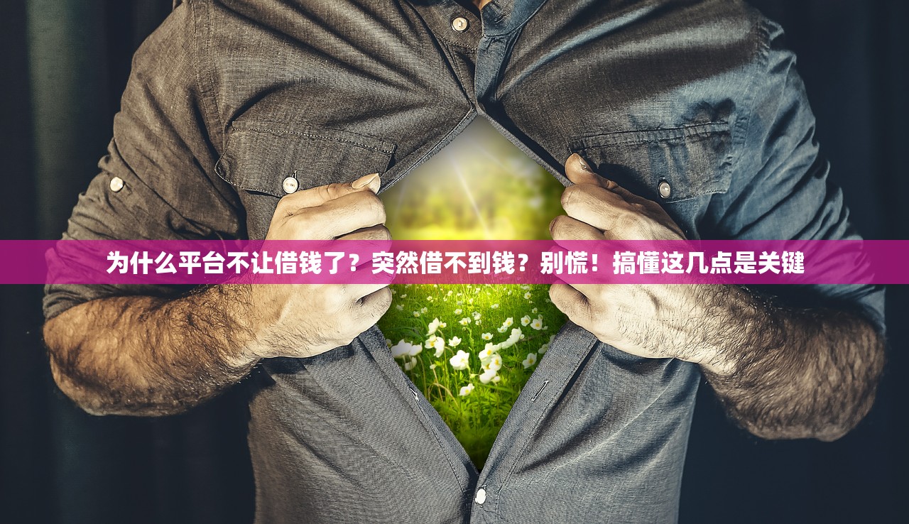 为什么平台不让借钱了？突然借不到钱？别慌！搞懂这几点是关键
