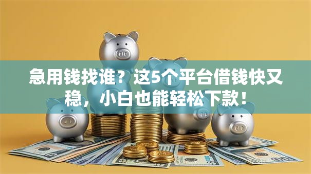 急用钱找谁？这5个平台借钱快又稳，小白也能轻松下款！
