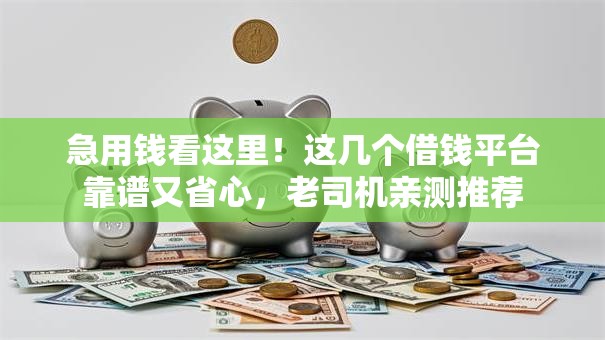 急用钱看这里！这几个借钱平台靠谱又省心，老司机亲测推荐