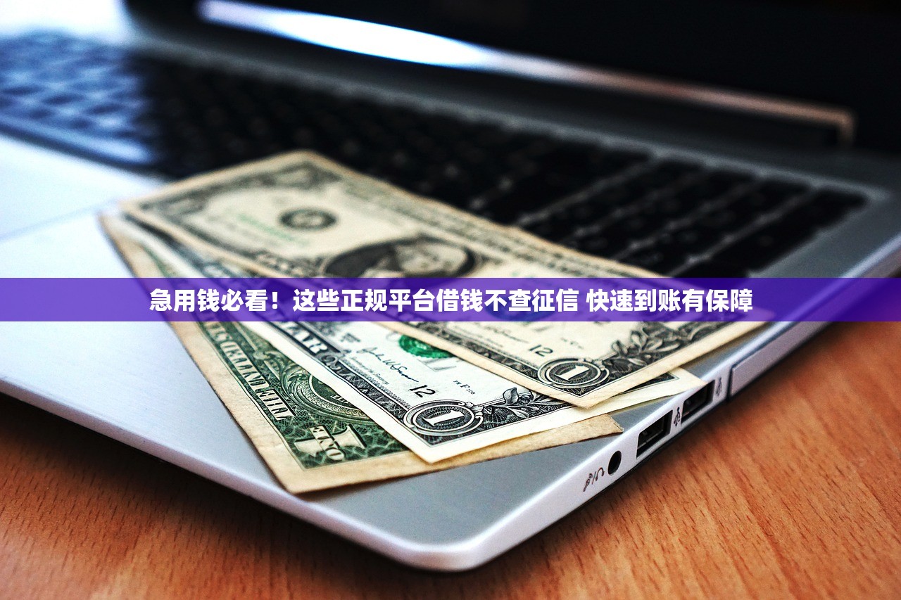 急用钱必看！这些正规平台借钱不查征信 快速到账有保障