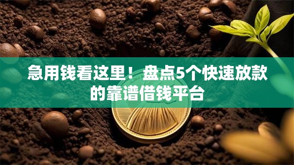 急用钱看这里！盘点5个快速放款的靠谱借钱平台