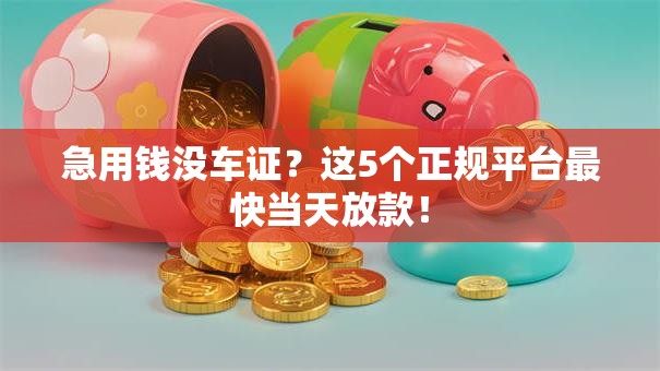 急用钱没车证？这5个正规平台最快当天放款！