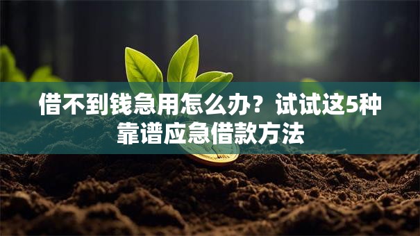 借不到钱急用怎么办？试试这5种靠谱应急借款方法