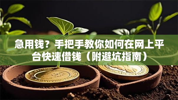 急用钱？手把手教你如何在网上平台快速借钱（附避坑指南）