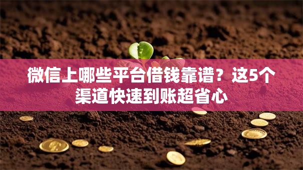 微信上哪些平台借钱靠谱？这5个渠道快速到账超省心