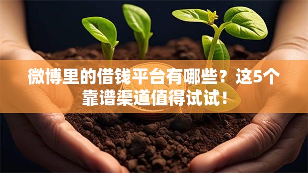 微博里的借钱平台有哪些？这5个靠谱渠道值得试试！