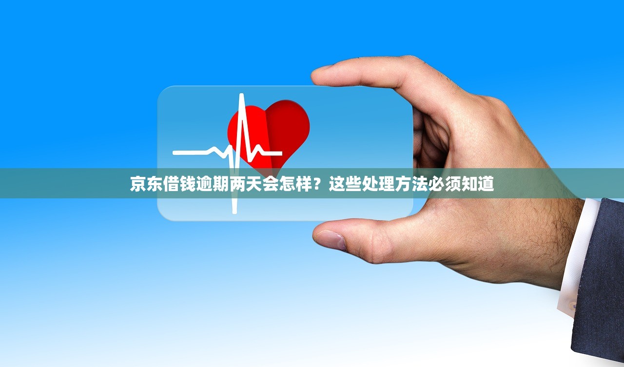 京东借钱逾期两天会怎样？这些处理方法必须知道