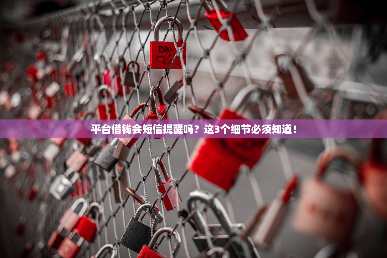 平台借钱会短信提醒吗?这3个细节必须知道! 平台借钱会短信提醒吗?这3个细节必须知道!