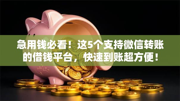 急用钱必看！这5个支持微信转账的借钱平台，快速到账超方便！