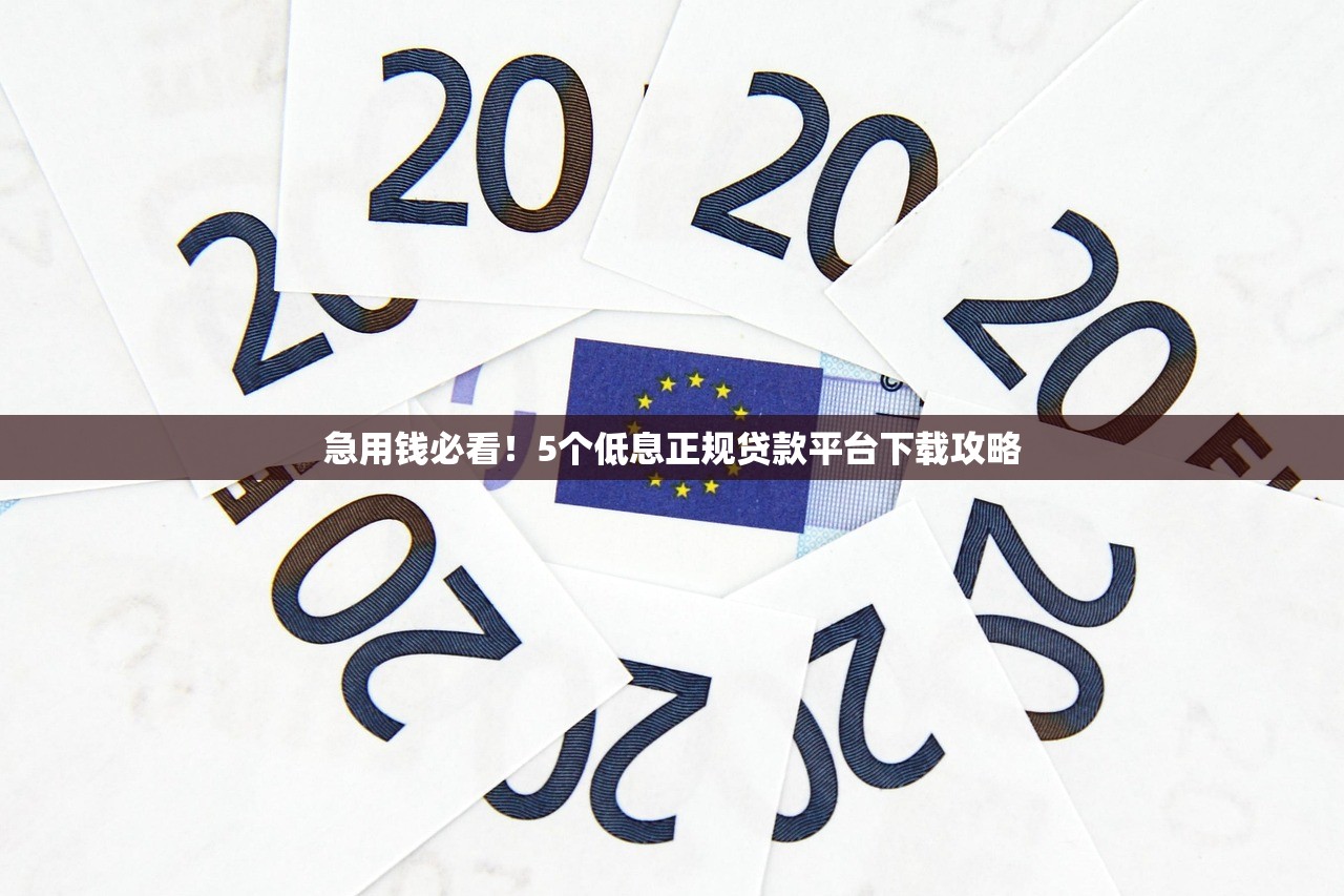 急用钱必看！5个低息正规贷款平台下载攻略