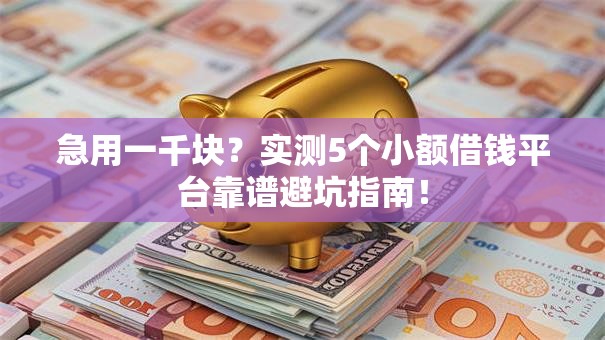 急用一千块？实测5个小额借钱平台靠谱避坑指南！