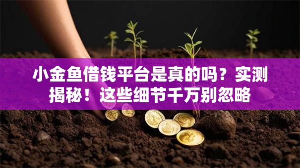小金鱼借钱平台是真的吗？实测揭秘！这些细节千万别忽略