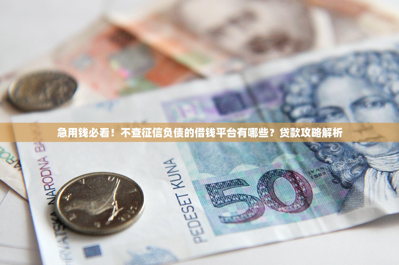 急用钱必看！不查征信负债的借钱平台有哪些？贷款攻略解析