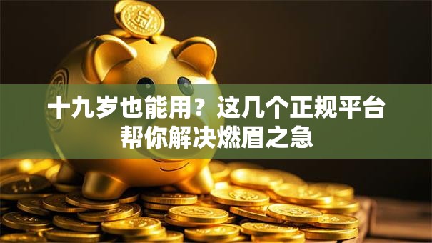 十九岁也能用?这几个正规平台帮你解决燃眉之急 十九岁也能用?这几个正规平台帮你解决燃眉之急