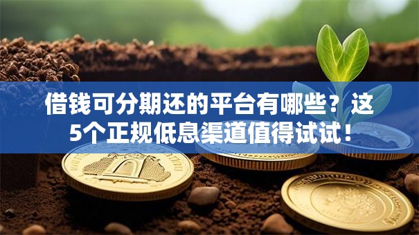 借钱可分期还的平台有哪些？这5个正规低息渠道值得试试！