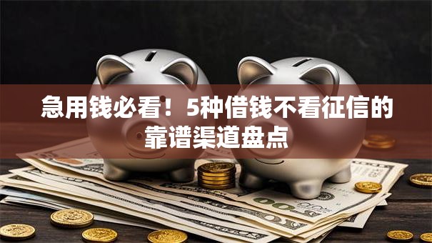 急用钱必看！5种借钱不看征信的靠谱渠道盘点
