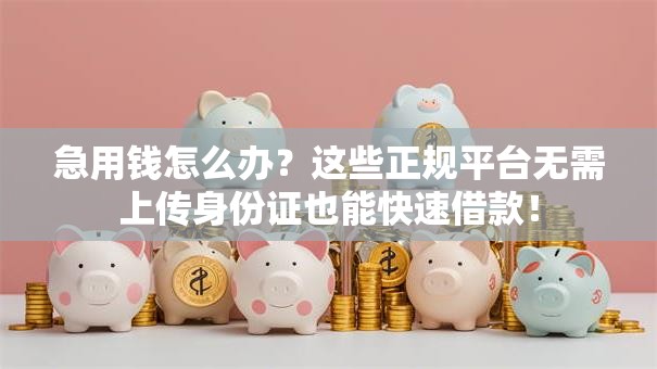 急用钱怎么办？这些正规平台无需上传身份证也能快速借款！