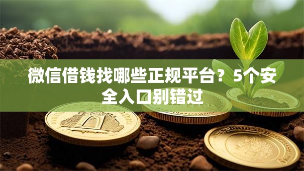 微信借钱找哪些正规平台？5个安全入口别错过