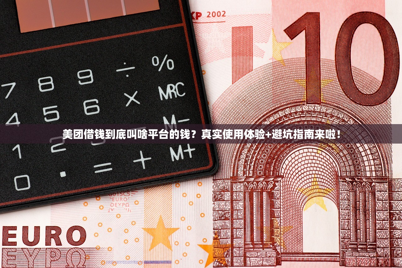 美团借钱到底叫啥平台的钱？真实使用体验+避坑指南来啦！