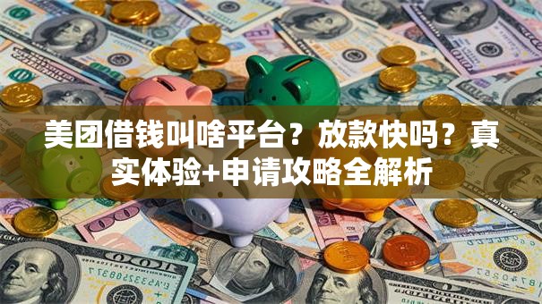 美团借钱叫啥平台？放款快吗？真实体验+申请攻略全解析