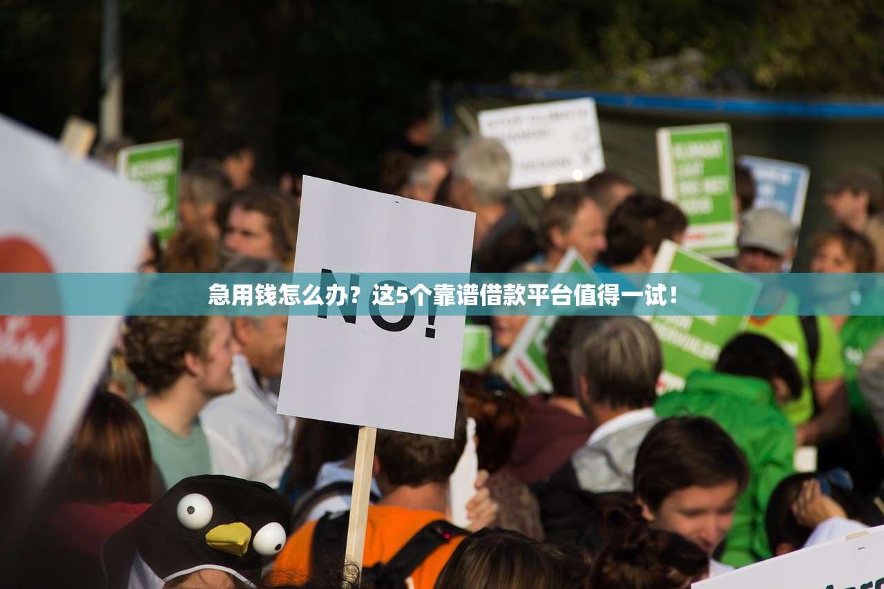 急用钱怎么办？这5个靠谱借款平台值得一试！