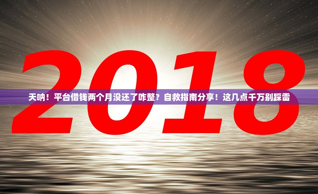 天呐！平台借钱两个月没还了咋整？自救指南分享！这几点千万别踩雷