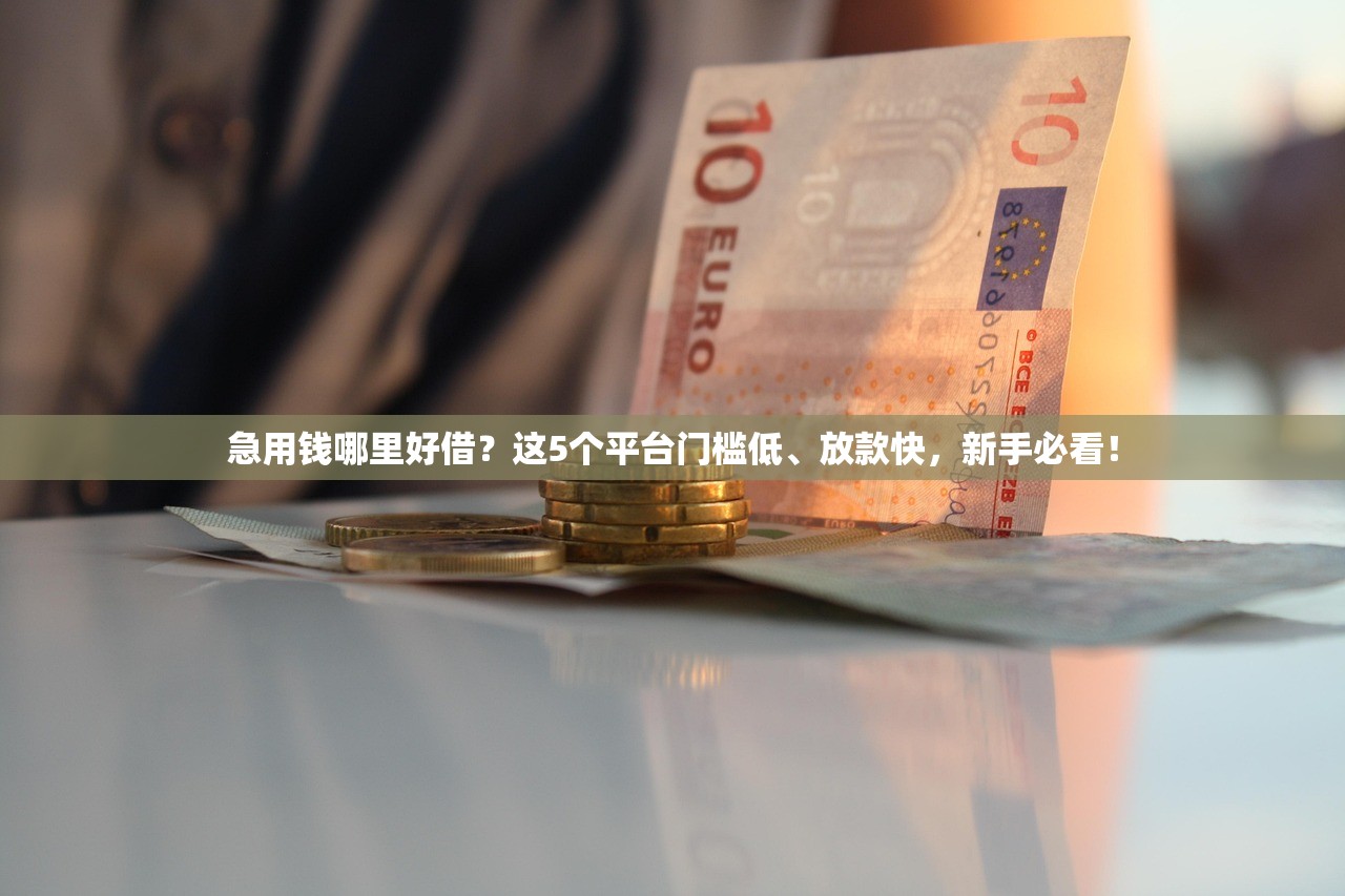 急用钱哪里好借?这5个平台门槛低、放款快,新手必看! 急用钱哪里好借?这5个平台门槛低、放款快,新手必看!