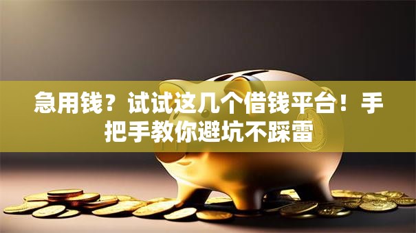 急用钱？试试这几个借钱平台！手把手教你避坑不踩雷