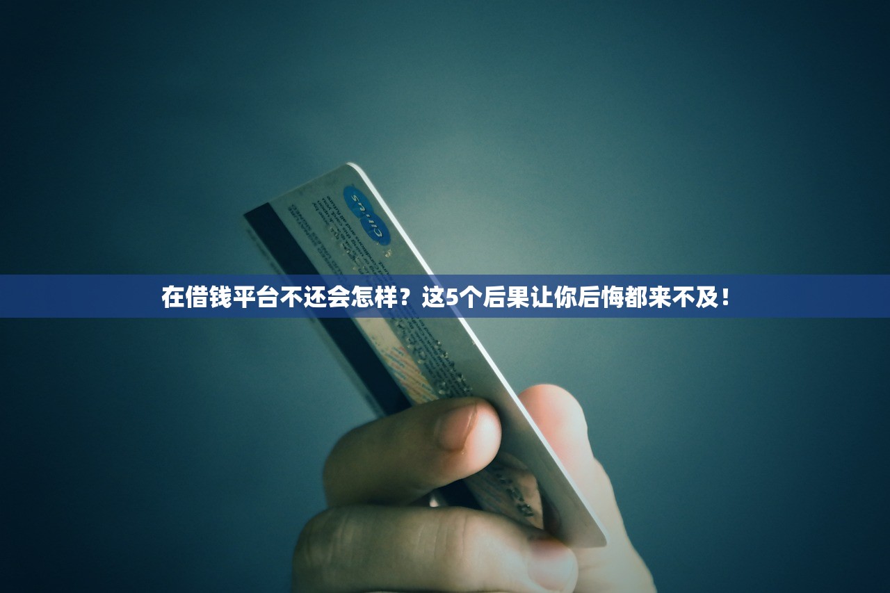 在借钱平台不还会怎样？这5个后果让你后悔都来不及！