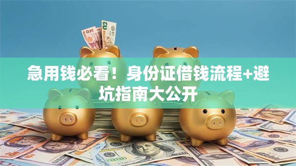 急用钱必看！身份证借钱流程+避坑指南大公开