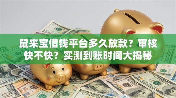 鼠来宝借钱平台多久放款？审核快不快？实测到账时间大揭秘
