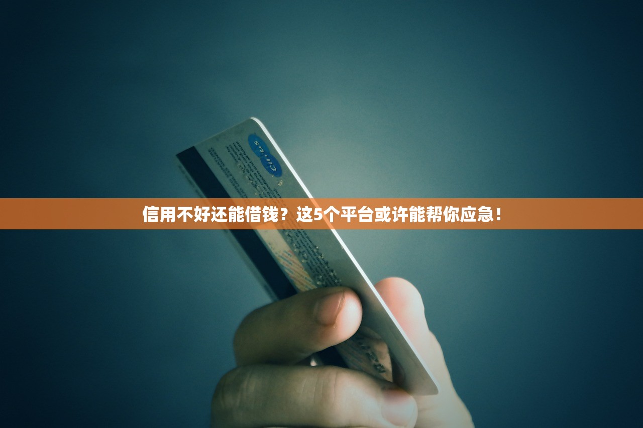 信用不好还能借钱？这5个平台或许能帮你应急！