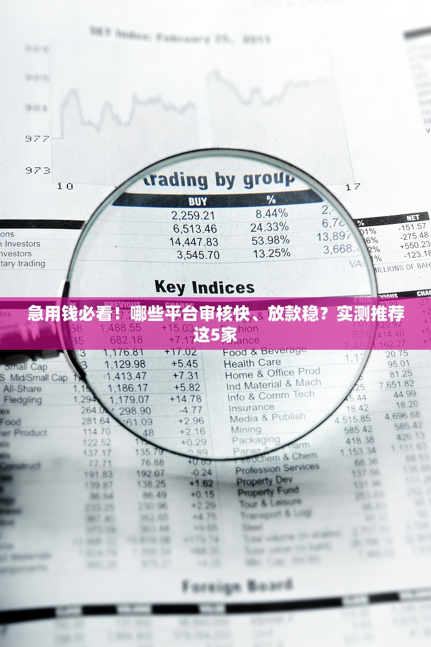 急用钱必看！哪些平台审核快、放款稳？实测推荐这5家
